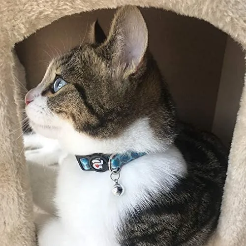 Collar para gato con campana, hebilla de seguridad, collar ajustable para gato, varios diseños, paquete de 4