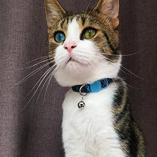 Collar para gato con campana, hebilla de seguridad, collar ajustable para gato, varios diseños, paquete de 4