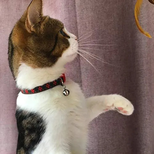 Collar para gato con campana, hebilla de seguridad, collar ajustable para gato, varios diseños, paquete de 4