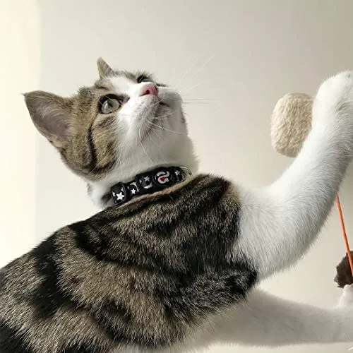 Collar para gato con campana, hebilla de seguridad, collar ajustable para gato, varios diseños, paquete de 4