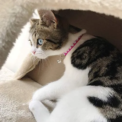 Collar para gato con campana, hebilla de seguridad, collar ajustable para gato, varios diseños, paquete de 4