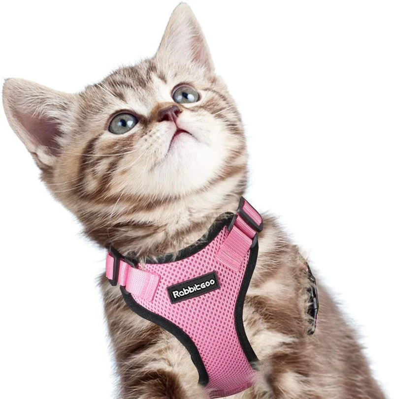 rabbitgoo - Arnés para gato para caminar, a prueba de escape, para gatos pequeños y medianos, arneses ajustables, arnés de malla suave para gatos pequeños, chaqueta de gato segura con tiras reflectantes y 1 anillo de metal