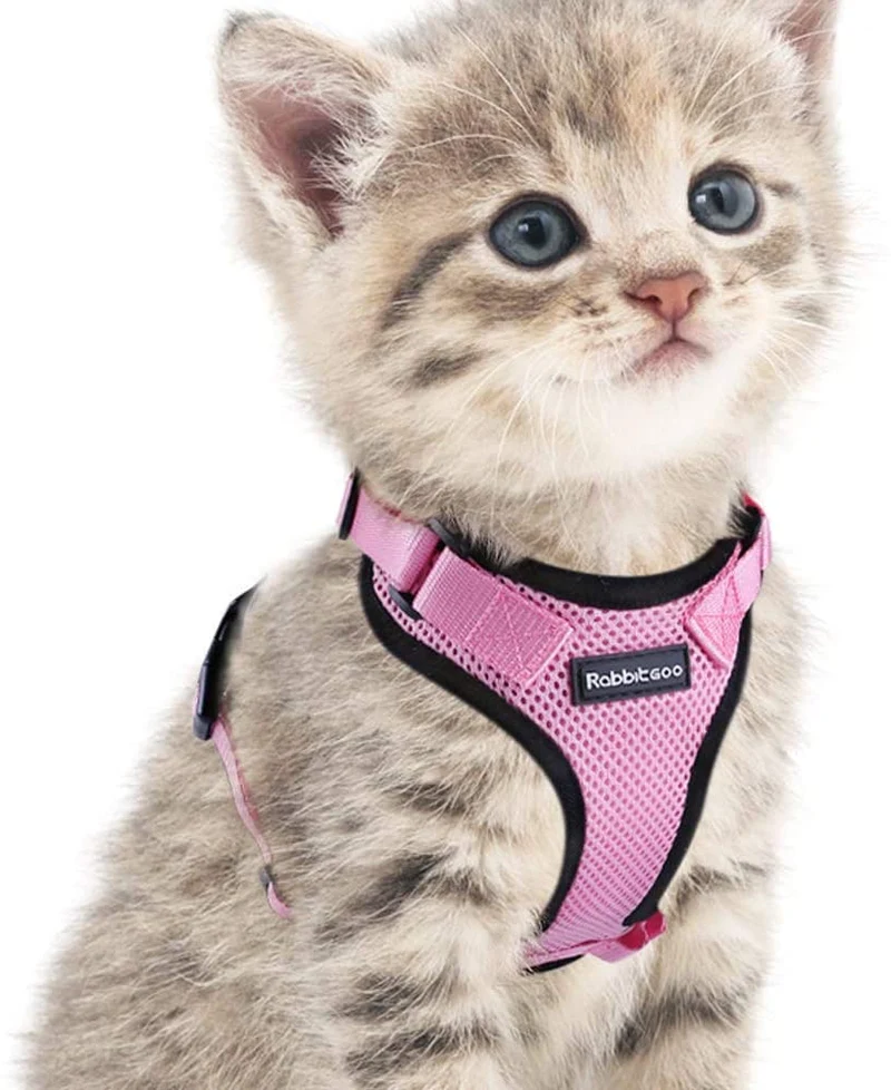 rabbitgoo - Arnés para gato para caminar, a prueba de escape, para gatos pequeños y medianos, arneses ajustables, arnés de malla suave para gatos pequeños, chaqueta de gato segura con tiras reflectantes y 1 anillo de metal