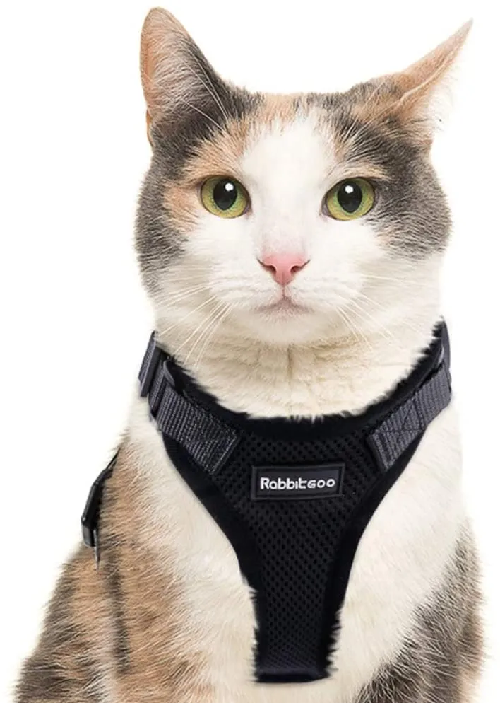 rabbitgoo - Arnés para gato para caminar, a prueba de escape, para gatos pequeños y medianos, arneses ajustables, arnés de malla suave para gatos pequeños, chaqueta de gato segura con tiras reflectantes y 1 anillo de metal