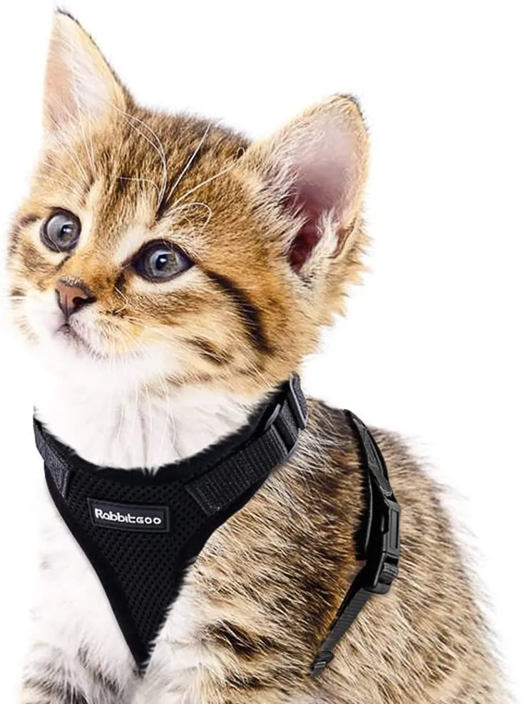 rabbitgoo - Arnés para gato para caminar, a prueba de escape, para gatos pequeños y medianos, arneses ajustables, arnés de malla suave para gatos pequeños, chaqueta de gato segura con tiras reflectantes y 1 anillo de metal