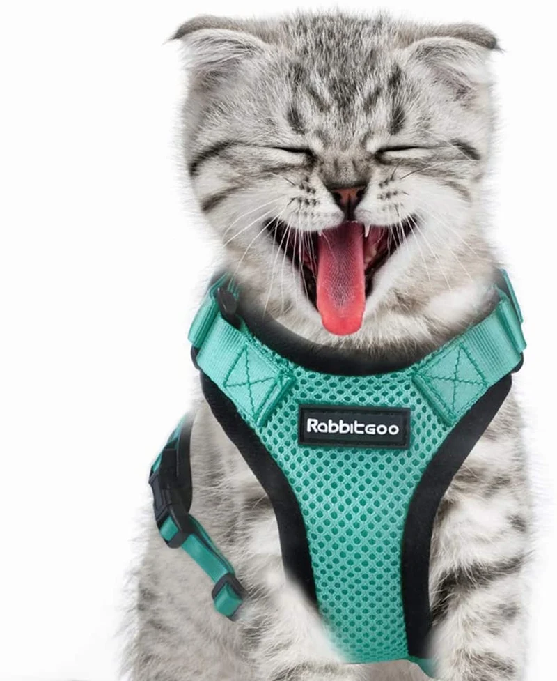rabbitgoo - Arnés para gato para caminar, a prueba de escape, para gatos pequeños y medianos, arneses ajustables, arnés de malla suave para gatos pequeños, chaqueta de gato segura con tiras reflectantes y 1 anillo de metal