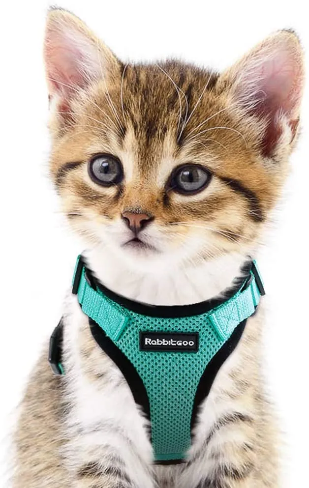 rabbitgoo - Arnés para gato para caminar, a prueba de escape, para gatos pequeños y medianos, arneses ajustables, arnés de malla suave para gatos pequeños, chaqueta de gato segura con tiras reflectantes y 1 anillo de metal