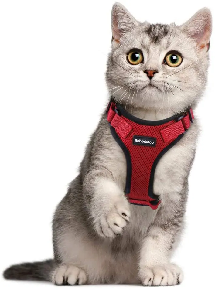 rabbitgoo - Arnés para gato para caminar, a prueba de escape, para gatos pequeños y medianos, arneses ajustables, arnés de malla suave para gatos pequeños, chaqueta de gato segura con tiras reflectantes y 1 anillo de metal