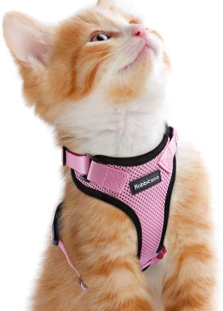 rabbitgoo - Arnés para gato para caminar, a prueba de escape, para gatos pequeños y medianos, arneses ajustables, arnés de malla suave para gatos pequeños, chaqueta de gato segura con tiras reflectantes y 1 anillo de metal