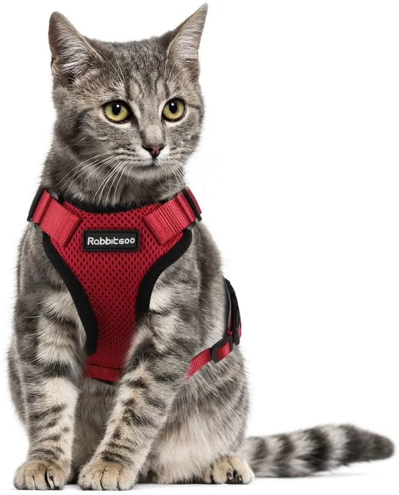 rabbitgoo - Arnés para gato para caminar, a prueba de escape, para gatos pequeños y medianos, arneses ajustables, arnés de malla suave para gatos pequeños, chaqueta de gato segura con tiras reflectantes y 1 anillo de metal