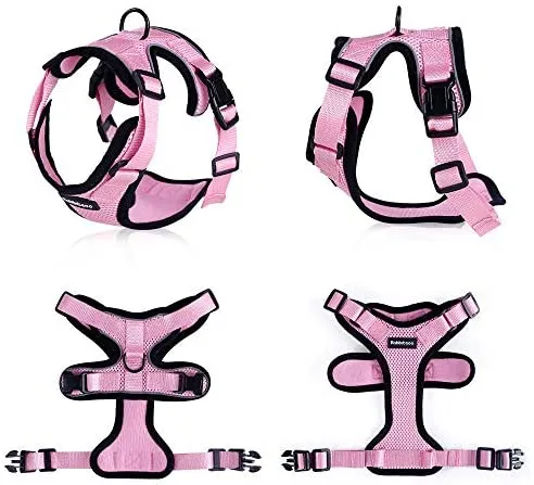 rabbitgoo - Arnés para gato para caminar, a prueba de escape, para gatos pequeños y medianos, arneses ajustables, arnés de malla suave para gatos pequeños, chaqueta de gato segura con tiras reflectantes y 1 anillo de metal