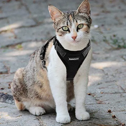 rabbitgoo - Arnés para gato para caminar, a prueba de escape, para gatos pequeños y medianos, arneses ajustables, arnés de malla suave para gatos pequeños, chaqueta de gato segura con tiras reflectantes y 1 anillo de metal