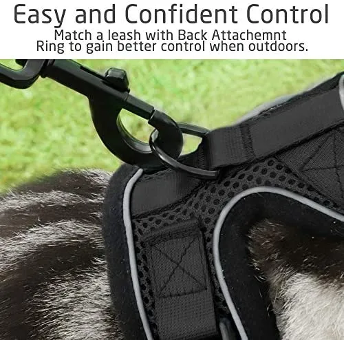rabbitgoo - Arnés para gato para caminar, a prueba de escape, para gatos pequeños y medianos, arneses ajustables, arnés de malla suave para gatos pequeños, chaqueta de gato segura con tiras reflectantes y 1 anillo de metal