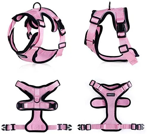 rabbitgoo - Arnés para gato para caminar, a prueba de escape, para gatos pequeños y medianos, arneses ajustables, arnés de malla suave para gatos pequeños, chaqueta de gato segura con tiras reflectantes y 1 anillo de metal