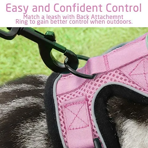 rabbitgoo - Arnés para gato para caminar, a prueba de escape, para gatos pequeños y medianos, arneses ajustables, arnés de malla suave para gatos pequeños, chaqueta de gato segura con tiras reflectantes y 1 anillo de metal