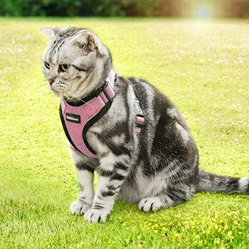 rabbitgoo - Arnés para gato para caminar, a prueba de escape, para gatos pequeños y medianos, arneses ajustables, arnés de malla suave para gatos pequeños, chaqueta de gato segura con tiras reflectantes y 1 anillo de metal