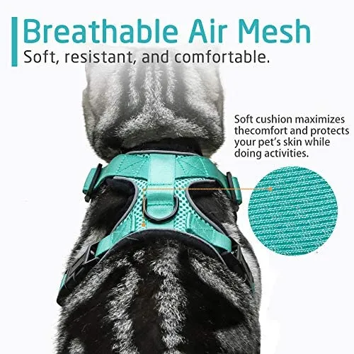 rabbitgoo - Arnés para gato para caminar, a prueba de escape, para gatos pequeños y medianos, arneses ajustables, arnés de malla suave para gatos pequeños, chaqueta de gato segura con tiras reflectantes y 1 anillo de metal