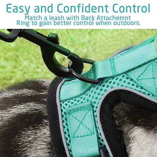 rabbitgoo - Arnés para gato para caminar, a prueba de escape, para gatos pequeños y medianos, arneses ajustables, arnés de malla suave para gatos pequeños, chaqueta de gato segura con tiras reflectantes y 1 anillo de metal