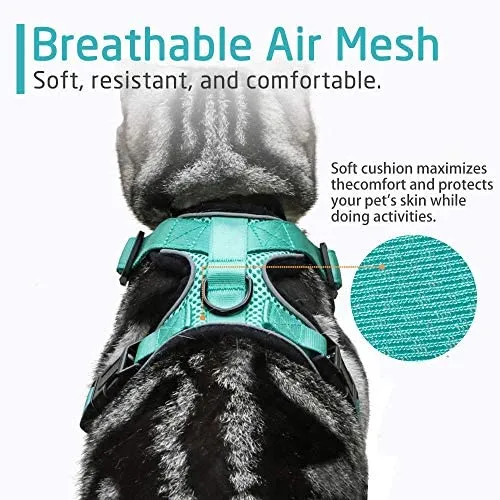 rabbitgoo - Arnés para gato para caminar, a prueba de escape, para gatos pequeños y medianos, arneses ajustables, arnés de malla suave para gatos pequeños, chaqueta de gato segura con tiras reflectantes y 1 anillo de metal