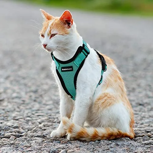 rabbitgoo - Arnés para gato para caminar, a prueba de escape, para gatos pequeños y medianos, arneses ajustables, arnés de malla suave para gatos pequeños, chaqueta de gato segura con tiras reflectantes y 1 anillo de metal