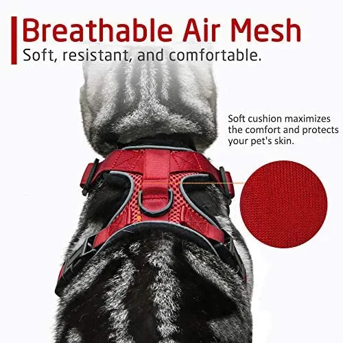 rabbitgoo - Arnés para gato para caminar, a prueba de escape, para gatos pequeños y medianos, arneses ajustables, arnés de malla suave para gatos pequeños, chaqueta de gato segura con tiras reflectantes y 1 anillo de metal
