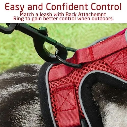 rabbitgoo - Arnés para gato para caminar, a prueba de escape, para gatos pequeños y medianos, arneses ajustables, arnés de malla suave para gatos pequeños, chaqueta de gato segura con tiras reflectantes y 1 anillo de metal
