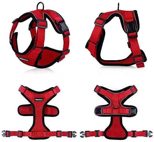 rabbitgoo - Arnés para gato para caminar, a prueba de escape, para gatos pequeños y medianos, arneses ajustables, arnés de malla suave para gatos pequeños, chaqueta de gato segura con tiras reflectantes y 1 anillo de metal