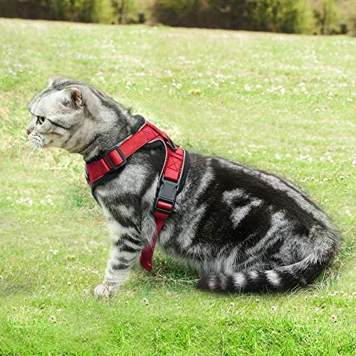 rabbitgoo - Arnés para gato para caminar, a prueba de escape, para gatos pequeños y medianos, arneses ajustables, arnés de malla suave para gatos pequeños, chaqueta de gato segura con tiras reflectantes y 1 anillo de metal