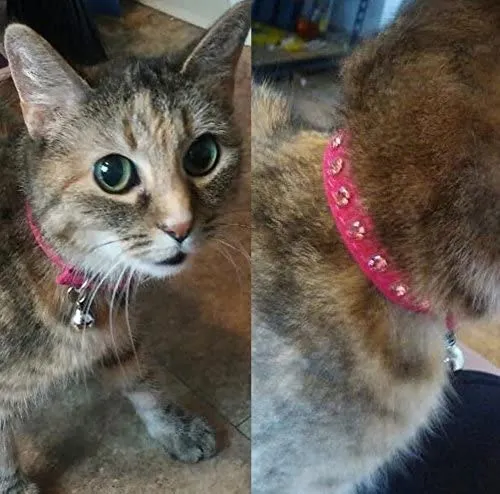KOOLTAIL - Collar de terciopelo elástico de seguridad para gato, con cristales y campana, 20,32 a 10.5 in