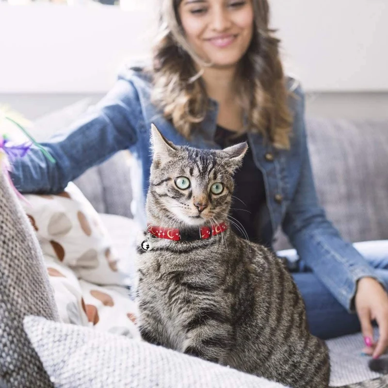 6 collares de gato con campanilla de luna dorada brillante en la oscuridad para gatito