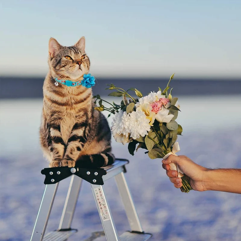 SCENEREAL Collar de gato con lazo de flor, 3 paquetes – Bonito patrón floral de primavera, collares ajustables para gatos gatitos