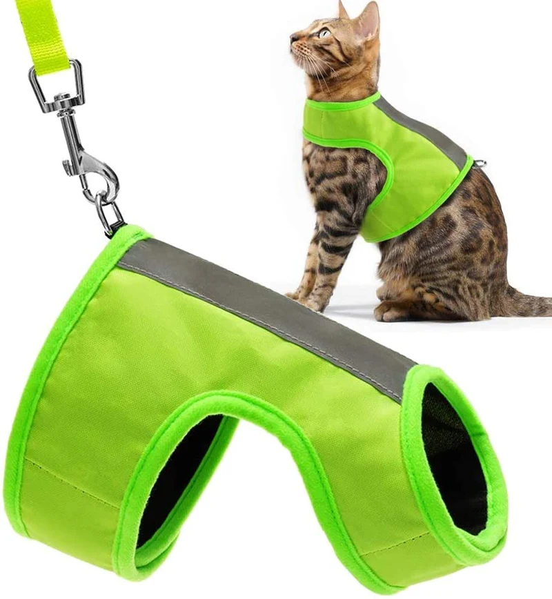 EXPAWLORER - Arnés reflectante para gato con correa para caminar, chaleco ajustable de nailon suave para mascotas pequeñas, color verde fluorescente
