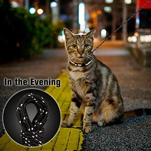 OFPUPPY - Correa reflectante para gato, cuerda trenzada de nailon, para exterior, naranja y negro, 26 pies