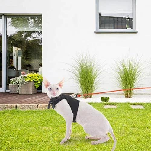 OFPUPPY - Correa reflectante para gato, cuerda trenzada de nailon, para exterior, naranja y negro, 26 pies