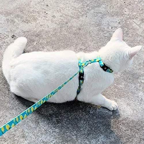 Azuza Arnés y Correa para gato para caminar, a prueba de escape, lindos limones en color brillante, suave y ajustable arnés para gatos