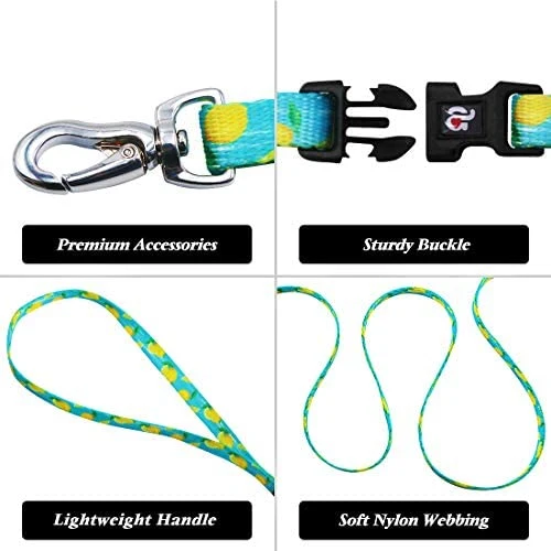 Azuza Arnés y Correa para gato para caminar, a prueba de escape, lindos limones en color brillante, suave y ajustable arnés para gatos