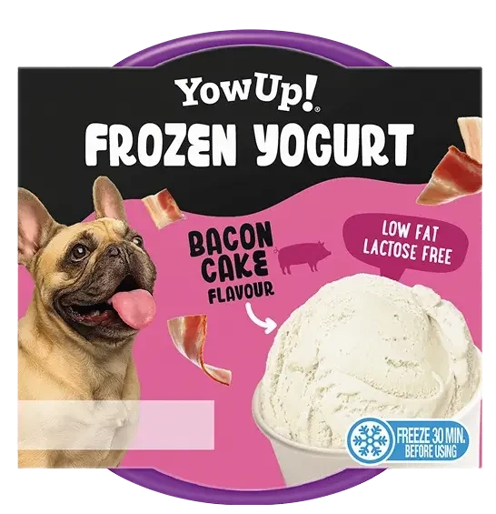Yowup Helado Yogurt Tarta Bacon 110 g