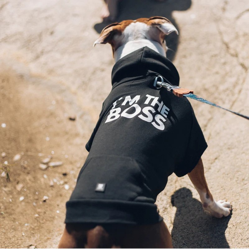 SUDADERA CON CAPUCHA PERROS NEGRA JEFE ZEEDOG