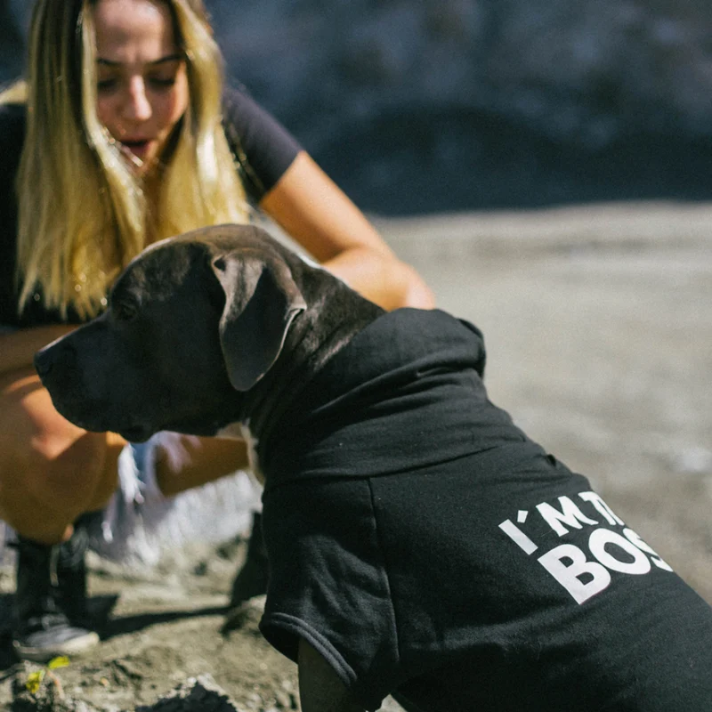 SUDADERA CON CAPUCHA PERROS NEGRA JEFE ZEEDOG