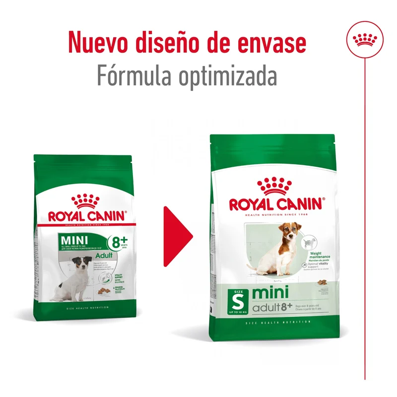 Royal Canin Mini Adult 8+ Pienso para Perros