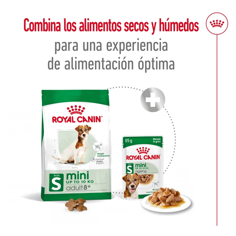 Royal Canin Mini Adult 8+ Pienso para Perros