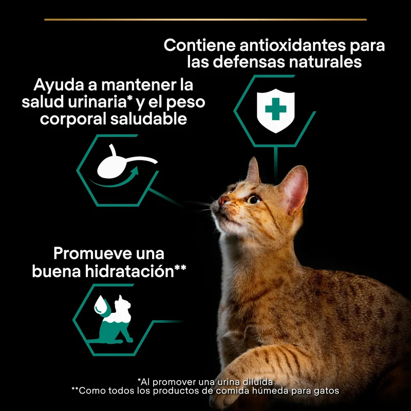 Pro Plan Cat Sobre Sterilised Buey y Pollo Pack 10x85 g