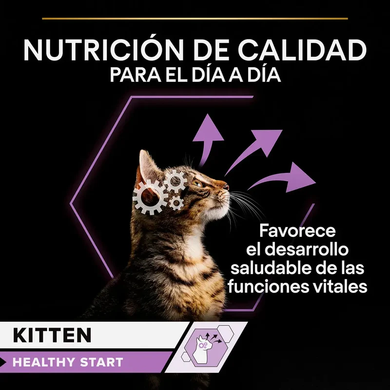 Pro Plan Cat Sobre Kitten Pavo 85 g