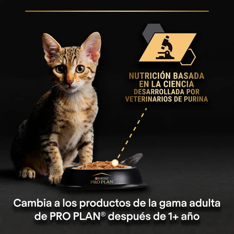 Pro Plan Cat Sobre Kitten Pavo 85 g