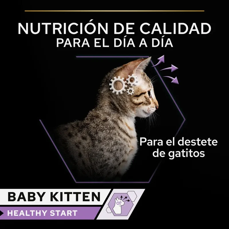 Pro Plan Cat Lata Baby Kitten Pollo 85 g