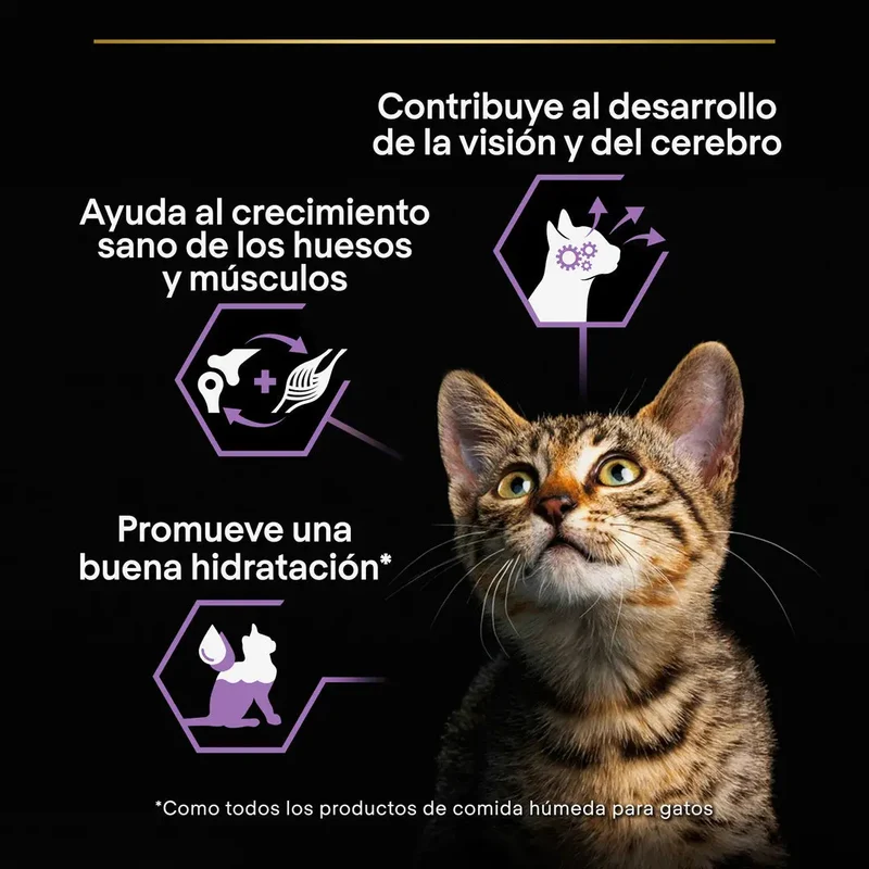 Pro Plan Cat Lata Baby Kitten Pollo 85 g