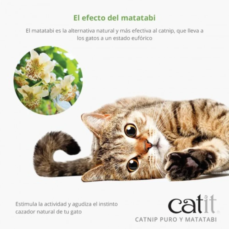 CATNIP Y MATATABI SECOS CATIT