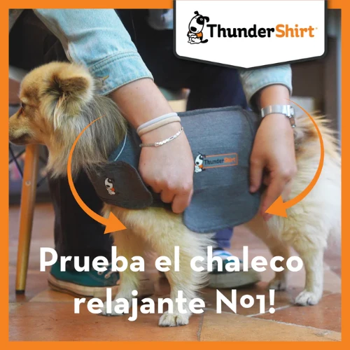 CHALECO RELAJANTE PARA PERROS THUNDERSHIRT