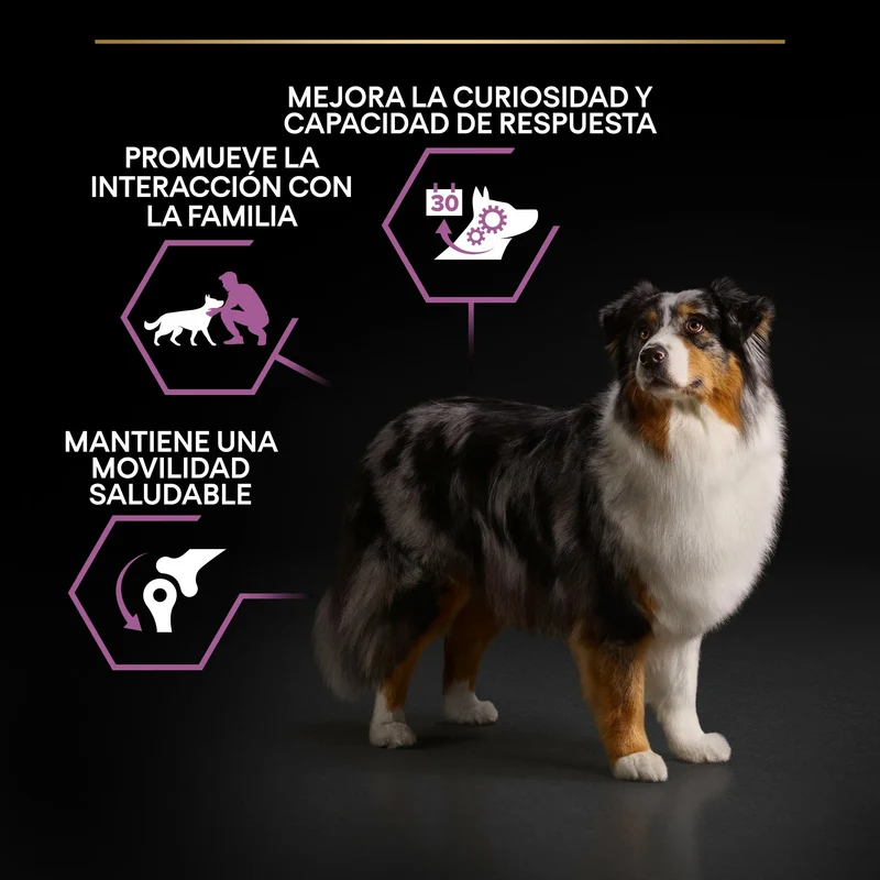 Pro Plan Dog Medium Y Large Adult Agedefen7+ Pollo 3 kg