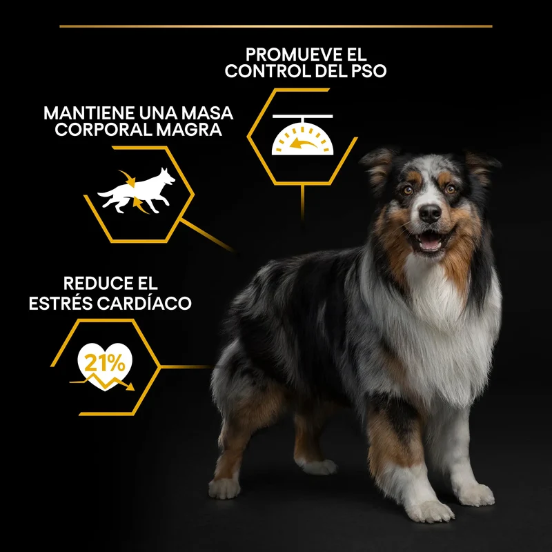 Pro Plan Dog Allsize Light Sterilized Pescado 3 kg